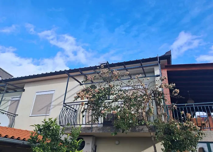 Fioretta