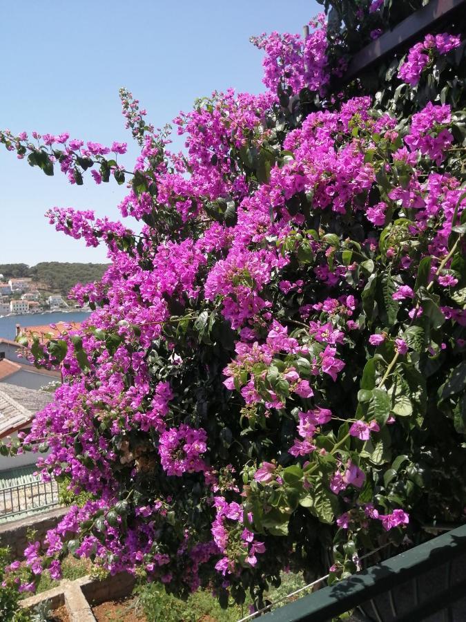 Fioretta * Mali Lošinj