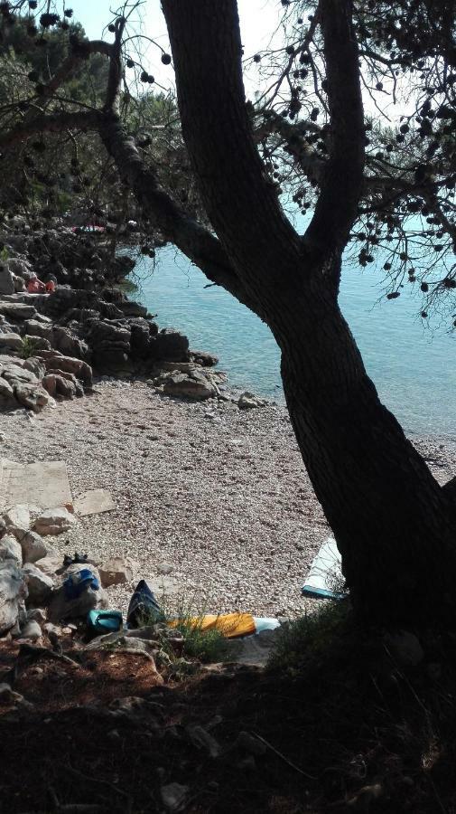 Apartman Fioretta *