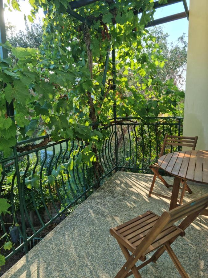 Apartment Fioretta